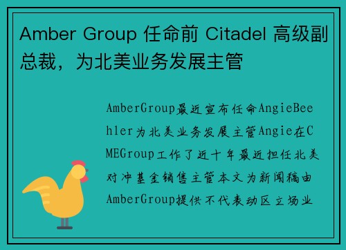 Amber Group 任命前 Citadel 高级副总裁，为北美业务发展主管